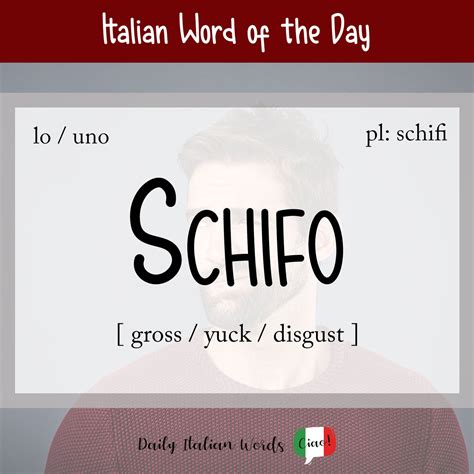 Word of the Day: Schifo 